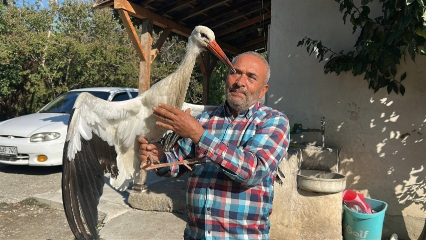 Hataylı vatandaş bahçede buldu: Kümeste tavuklarla birlikte yaşıyor
