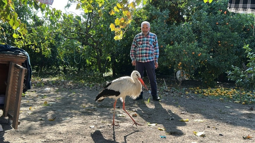 Hataylı vatandaş bahçede buldu: Kümeste tavuklarla birlikte yaşıyor