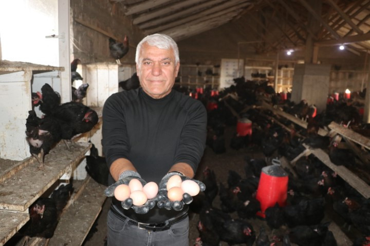 İsviçrede 40 yıl çalıştı, köyüne dönüp çocukluk hayalini hayata geçirdi İsviçrede 40 yıl çalıştı, köyüne dönüp çocukluk hayalini hayata geçirdi