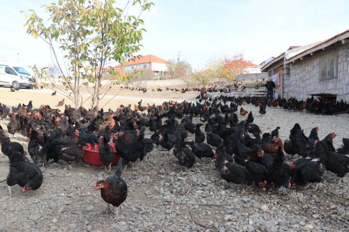 İsviçrede 40 yıl çalıştı, köyüne dönüp çocukluk hayalini hayata geçirdi İsviçrede 40 yıl çalıştı, köyüne dönüp çocukluk hayalini hayata geçirdi