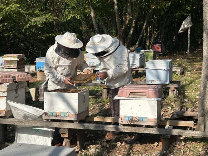  Burayı gören Cennette yaşıyorsunuz diyor