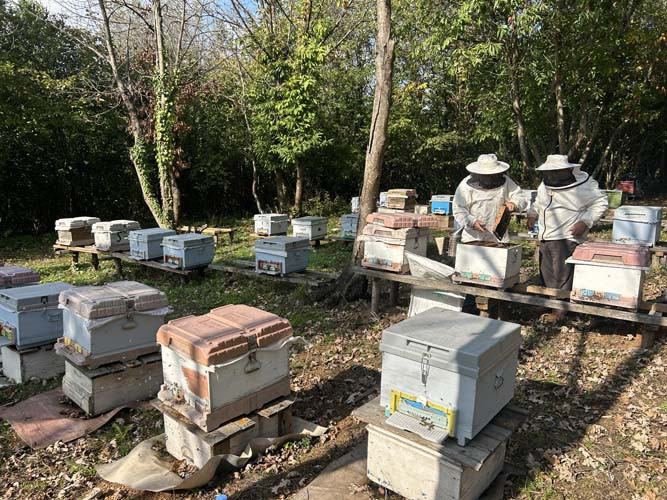  Burayı gören Cennette yaşıyorsunuz diyor