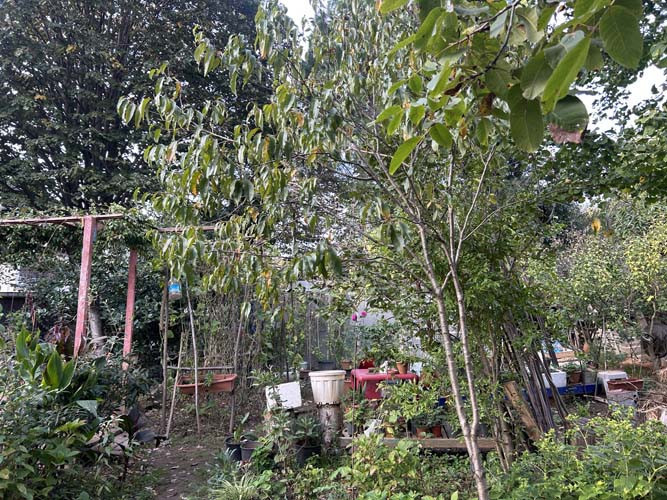  Burayı gören Cennette yaşıyorsunuz diyor