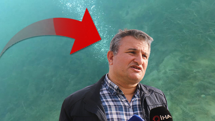 Sapanca'daki görüntü endişeye neden olmuştu: Gölün dibine dalındı | Uzman isimden çarpıcı deprem açıklaması