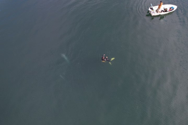 Gölün dibine dalındı | Uzman isimden çarpıcı deprem açıklaması Gölün dibine dalındı | Uzman isimden çarpıcı deprem açıklaması