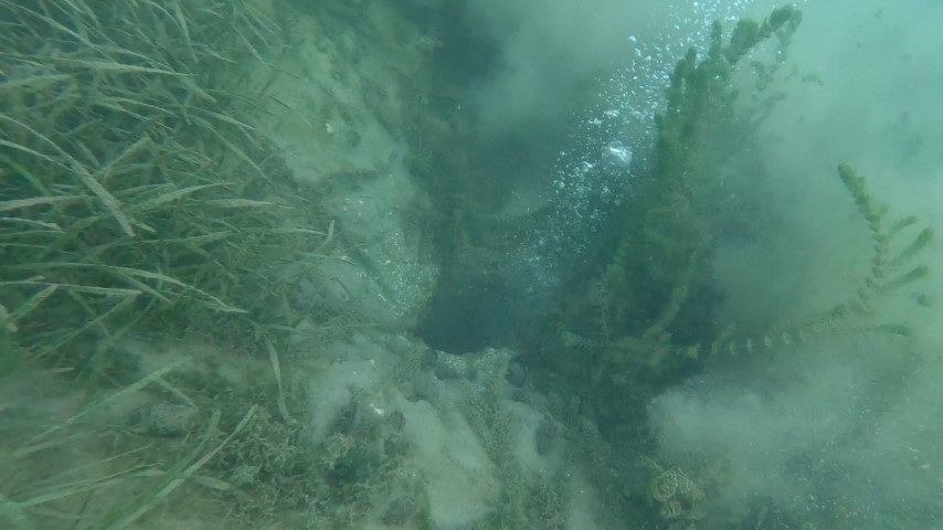 Gölün dibine dalındı | Uzman isimden çarpıcı deprem açıklaması Gölün dibine dalındı | Uzman isimden çarpıcı deprem açıklaması