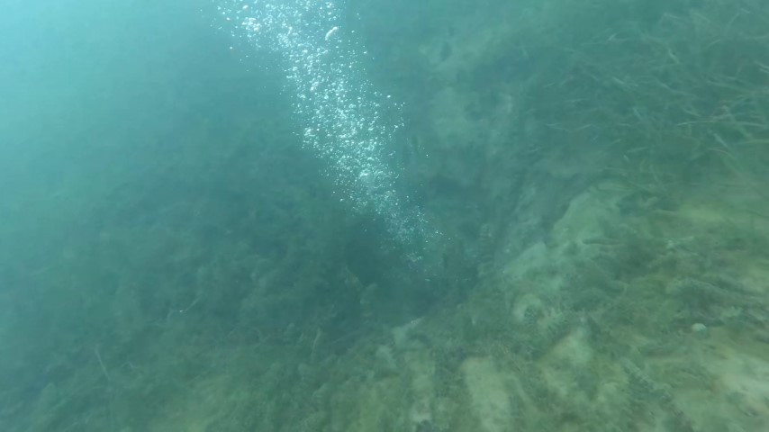 Gölün dibine dalındı | Uzman isimden çarpıcı deprem açıklaması Gölün dibine dalındı | Uzman isimden çarpıcı deprem açıklaması