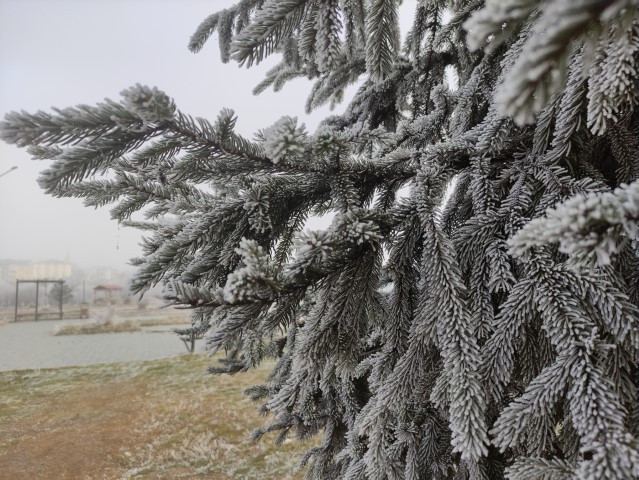  Şimdiden eksi 13ü gördü