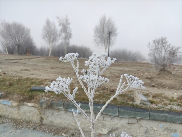  Şimdiden eksi 13ü gördü