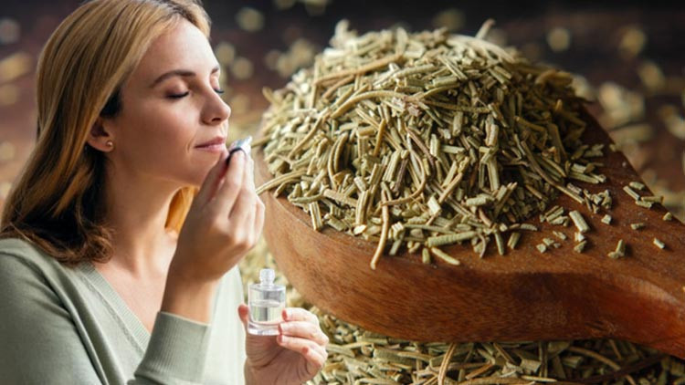 Hepsi birer gizli enerji kaynağı… Bu 3 koku hafızanızı canlandırıyor