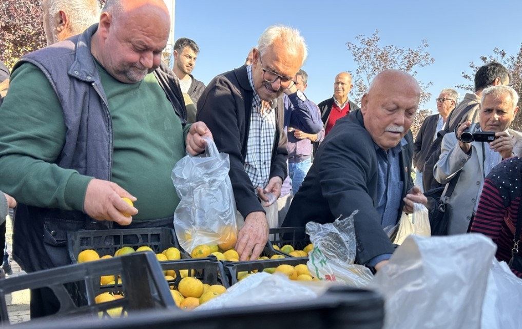 Hatay'da üreticiler, alıcı çıkmayan tonlarca mandalinayı ücretsiz dağıttı