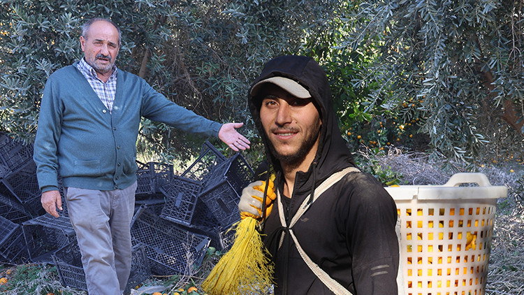 Bahçede 2, markette 30 lira | Fiyatı sert düşünce vatandaşa ücretsiz dağıttılar