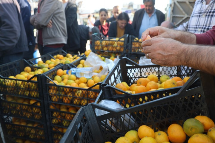 Bahçede 2, markette 30 lira | Fiyatı sert düşünce vatandaşa ücretsiz dağıttılar