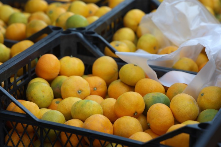 Bahçede 2, markette 30 lira | Fiyatı sert düşünce vatandaşa ücretsiz dağıttılar