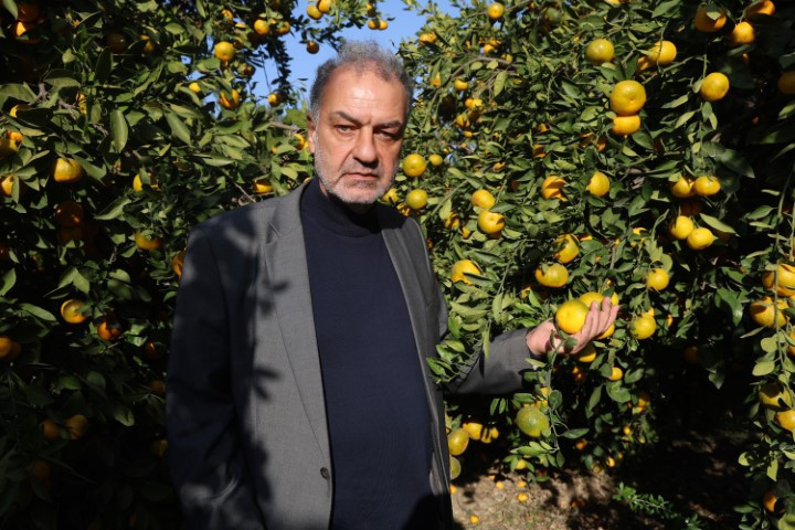 Bahçede 2, markette 30 lira | Fiyatı sert düşünce vatandaşa ücretsiz dağıttılar