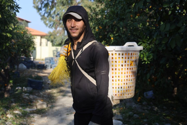 Bahçede 2, markette 30 lira | Fiyatı sert düşünce vatandaşa ücretsiz dağıttılar