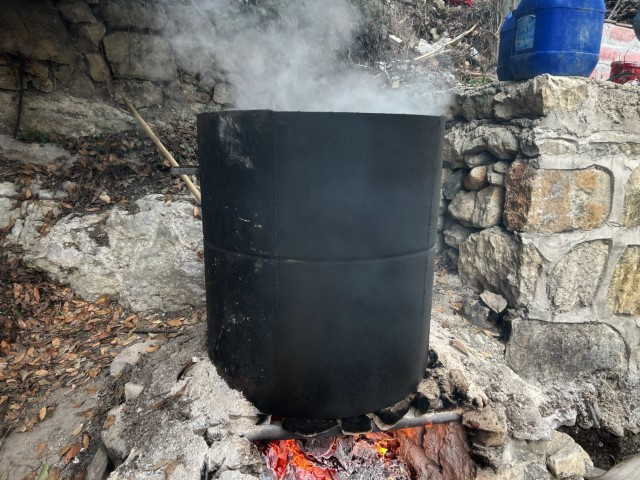 Ormanlarda kendiliğinden yetişiyor | Kazanlarda kaynatıp kilosunu bin liraya satıyorlar