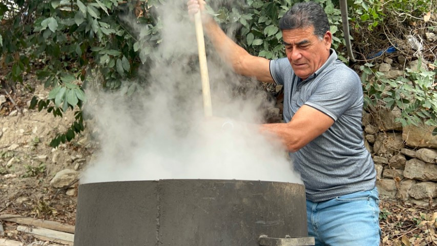 Ormanlarda kendiliğinden yetişiyor | Kazanlarda kaynatıp kilosunu bin liraya satıyorlar