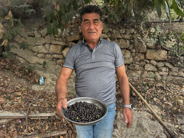 Ormanlarda kendiliğinden yetişiyor | Kazanlarda kaynatıp kilosunu bin liraya satıyorlar