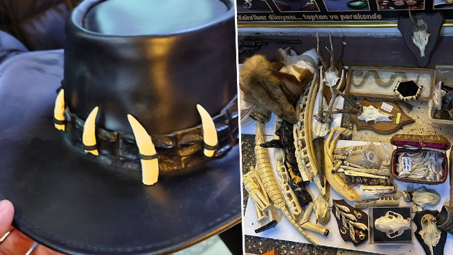 İstanbul'da yasa dışı yaban hayatı ürünü ele geçirildi