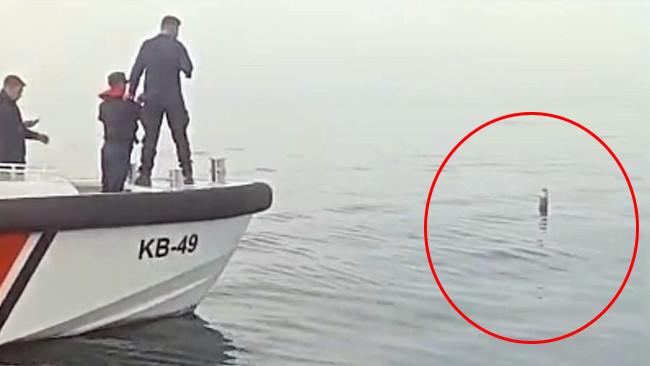 Karadeniz'de balıkçılar gördü! Sahil Güvenlik ekiplerine haber verildi