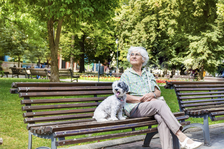  “DUAYLA BAŞLAYAN GÜN”