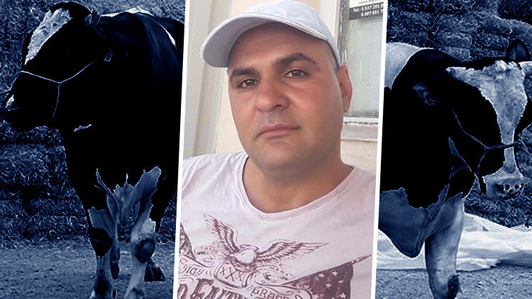 Sattığı dananın saldırısına uğradı, hayatını kaybetti