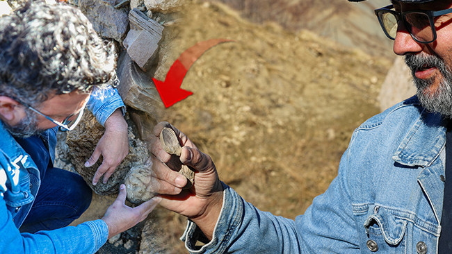 Bölge halkı yıllardır sıradan bir taş zannediyordu! Bingöl'de büyük keşif: 50 milyon yıllık oldukları değerlendiriliyor