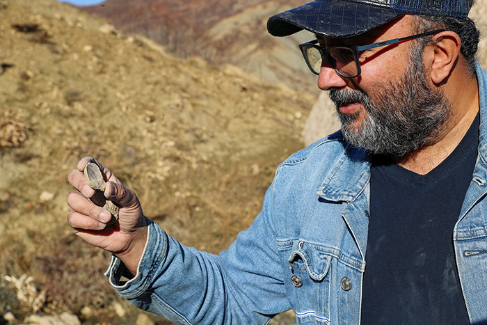  50 milyon yıllık oldukları değerlendiriliyor