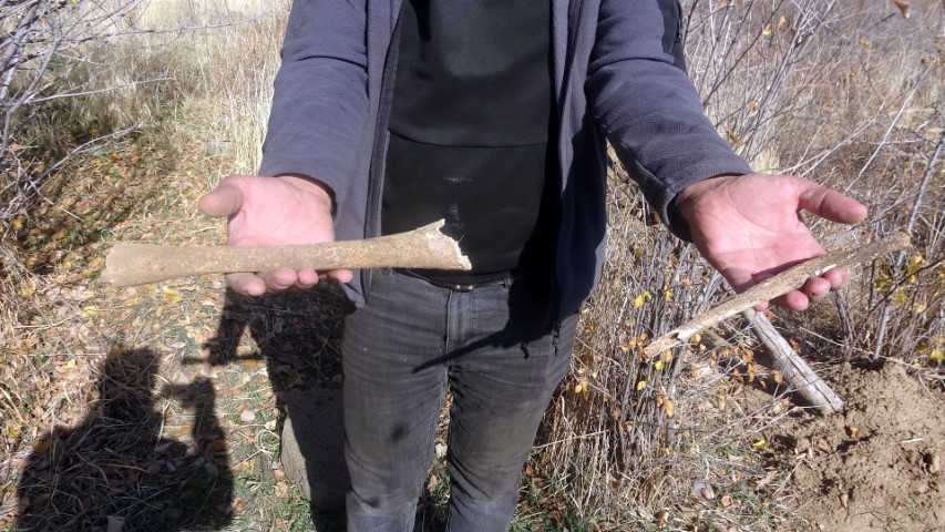  Altın bulmak için talan edip insan kemiklerini çıkardılar