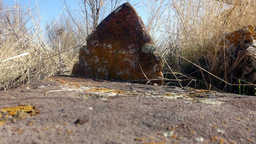 Altın bulmak için talan edip insan kemiklerini çıkardılar