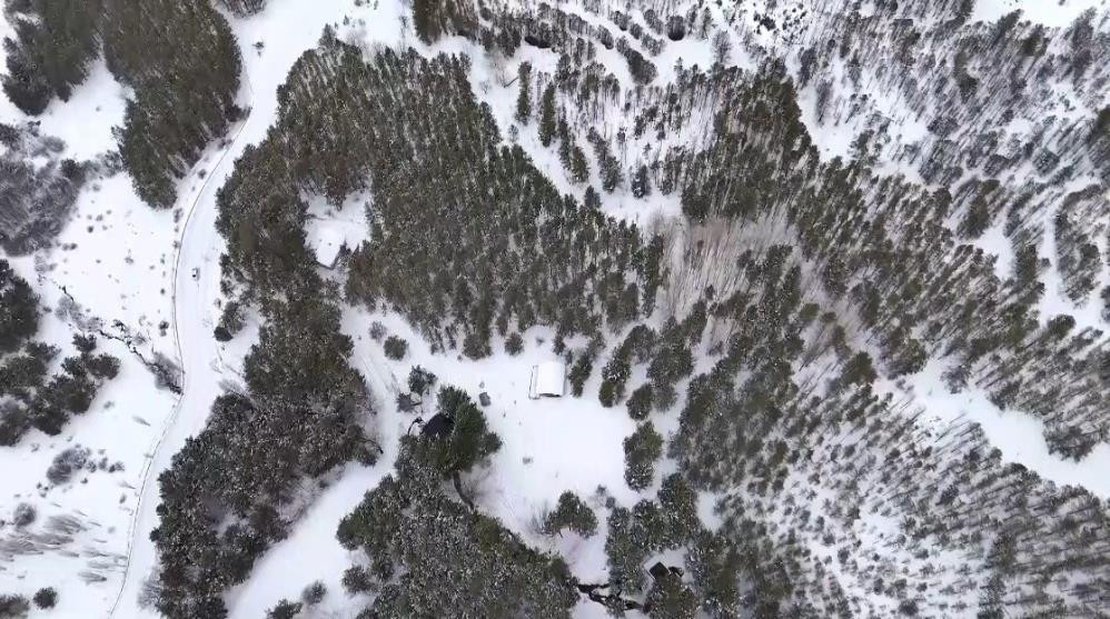 Lapa lapa kar yağışı başladı: Evler kısa sürede beyaza büründü