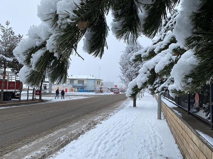 Lapa lapa kar yağışı başladı: Evler kısa sürede beyaza büründü