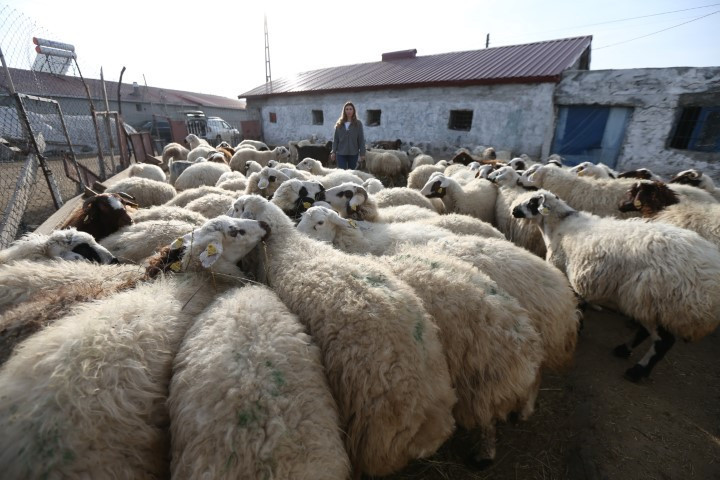 İstanbulda modelistlik yapıyordu | Devlet desteği ile köyüne dönüp yeni bir hayat kurdu... Başladığı işi 4 katına çıkardı İstanbulda modelistlik yapıyordu | Devlet desteği ile köyüne dönüp yeni bir hayat kurdu... Başladığı işi 4 katına çıkardı