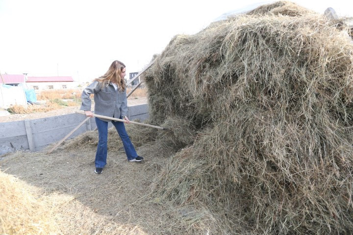 İstanbulda modelistlik yapıyordu | Devlet desteği ile köyüne dönüp yeni bir hayat kurdu... Başladığı işi 4 katına çıkardı İstanbulda modelistlik yapıyordu | Devlet desteği ile köyüne dönüp yeni bir hayat kurdu... Başladığı işi 4 katına çıkardı