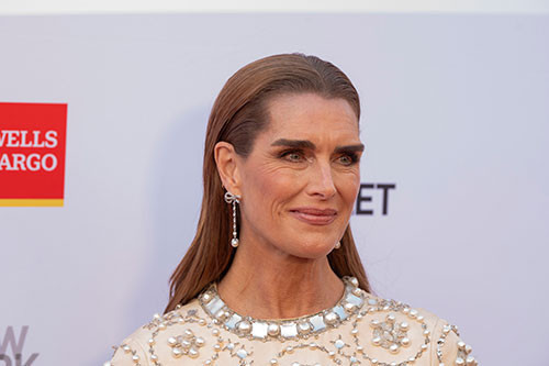 Zamanın rüzgarı çok zalim esti... Efsane güzelliğinin kendisi uçup gitti, sadece gölgesi kaldı