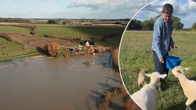Ünlü sunucunun doğal yaşam hevesi kabusa döndü... Büyük rüya sele kapıldı... Milyonlar uçtu gitti!