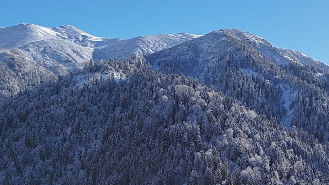 Hava sıcaklığı sıfırın altında 10 dereceye düştü: Kar yağışı yeniden başladı | Araç camları buz tuttu: İnşallah bir an önce kar yağar