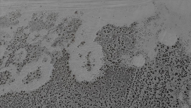 Uydu görüntüleri incelendi: 40 yılda yüzde 94 kayıp Yüzeyde daralmalar başladı