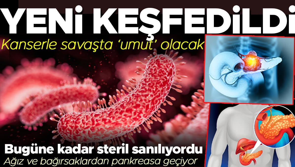 Mikrobiyota haritasında yeni bir sayfa açıldı, pankreas mikrobiyotası keşfedildi! Kanserle savaşta yeni umut olacak
