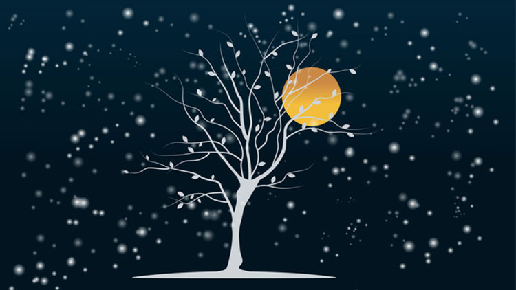 GÜN DÖNÜMÜ TARİHİ 2025 || EN UZUN GECE NE ZAMAN