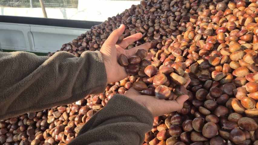 Kış mevsiminin vazgeçilmez yiyeceği | Fiyatı 175 liraya çıktı... Günde 600 kilo satıyoruz