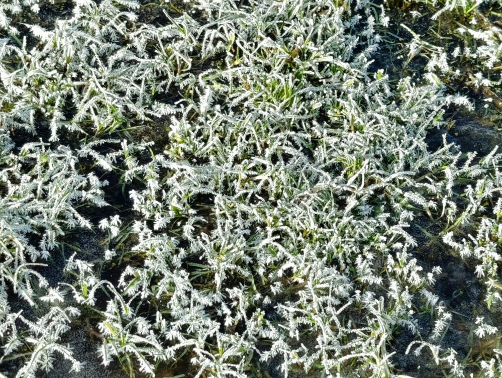  Hava sıcaklığı eksi 13 dereceyi gördü Kışımız başladı