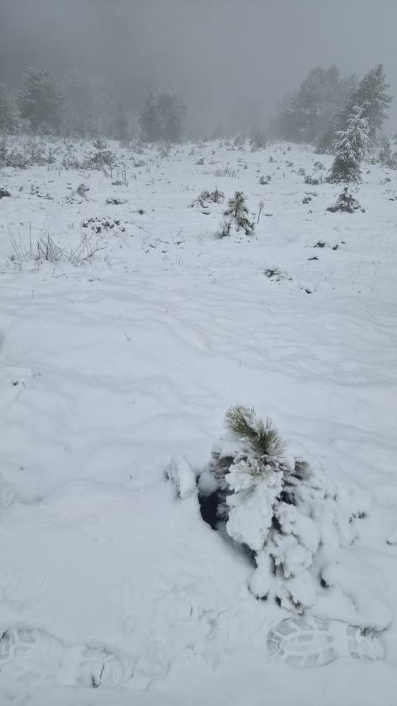Etkisi arttı, her yer beyaza büründü Etkisi arttı, her yer beyaza büründü