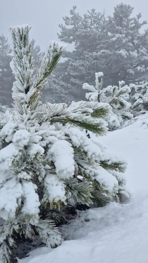 Etkisi arttı, her yer beyaza büründü Etkisi arttı, her yer beyaza büründü