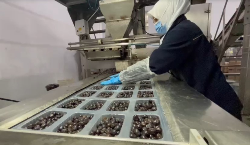  Laboratuvarlarda analiz edilip birliklere gönderiliyor