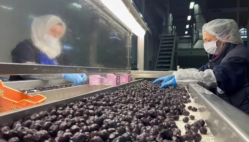  Laboratuvarlarda analiz edilip birliklere gönderiliyor