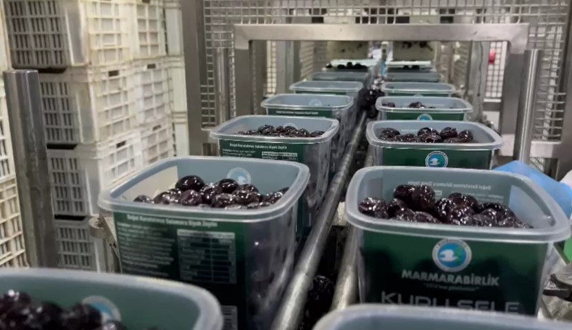  Laboratuvarlarda analiz edilip birliklere gönderiliyor