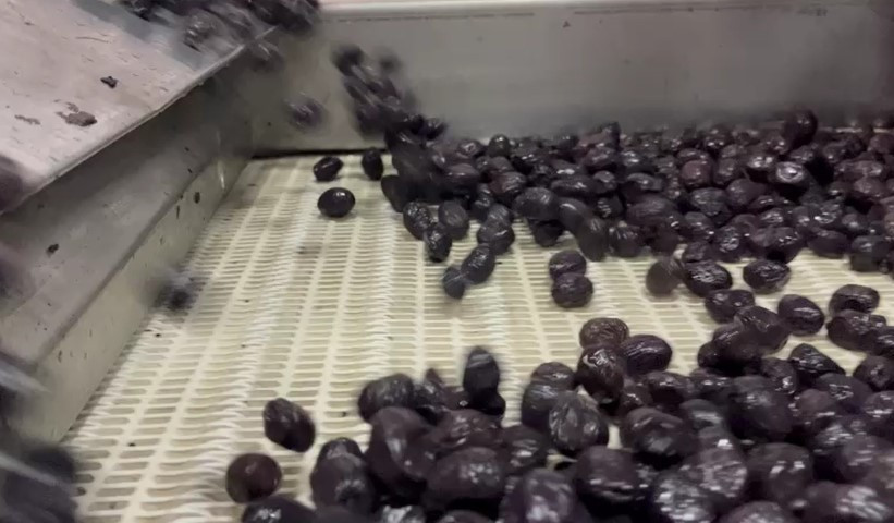  Laboratuvarlarda analiz edilip birliklere gönderiliyor