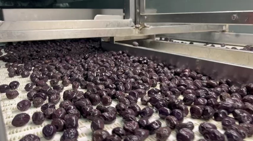  Laboratuvarlarda analiz edilip birliklere gönderiliyor